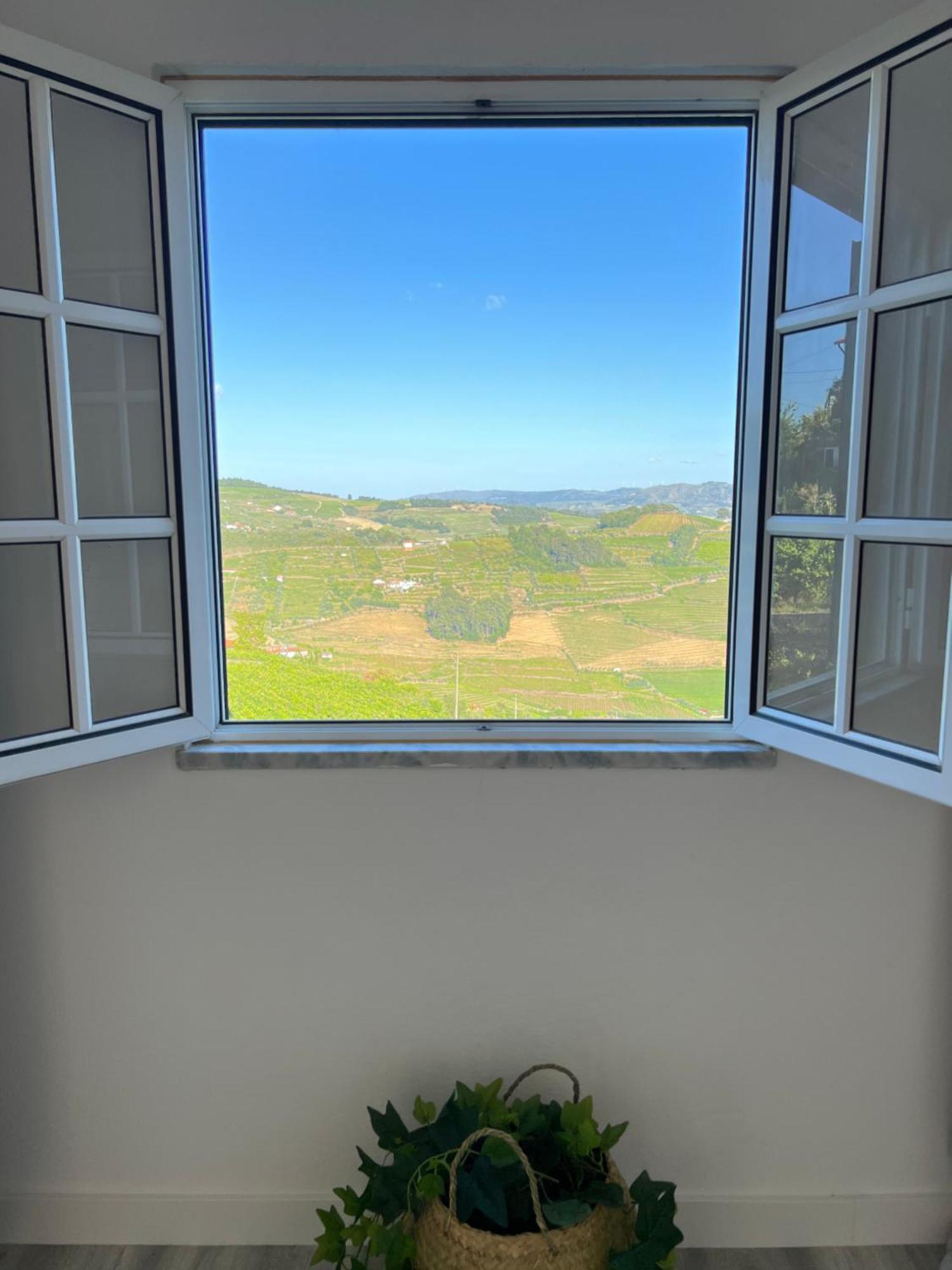 Villa Samaritana - Casa da Vinha Vila Marim Esterno foto